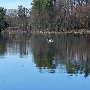 Meet your Posher, Jody